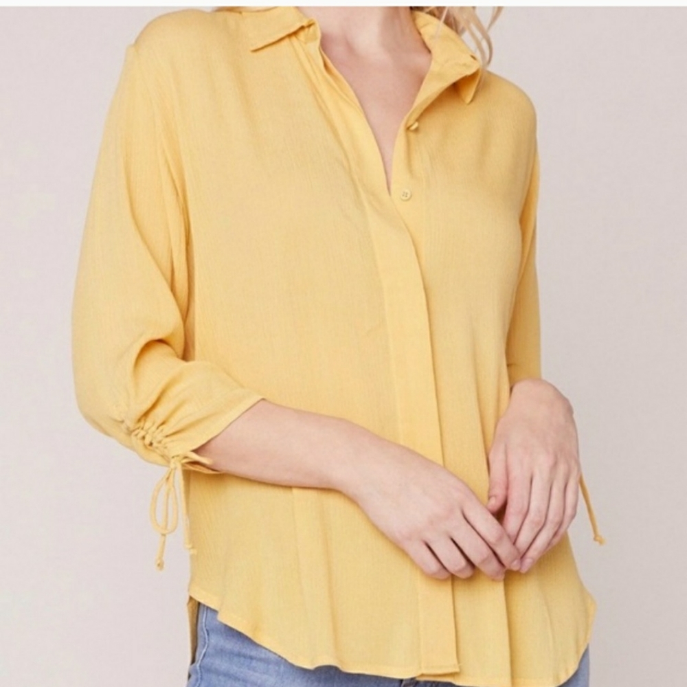BB Dakota " The skinny " button down shirt